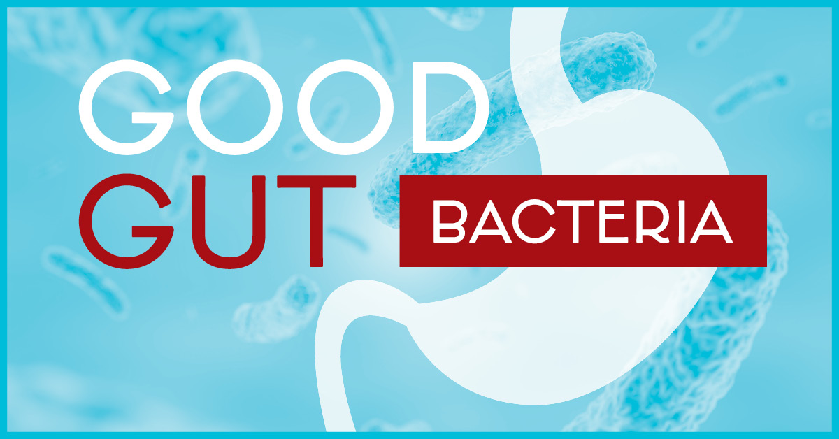 Top 5 Bacteria for Gut Health